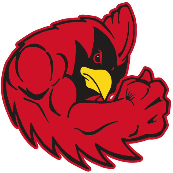 AR CARDINAL 29 RC Thumbnail