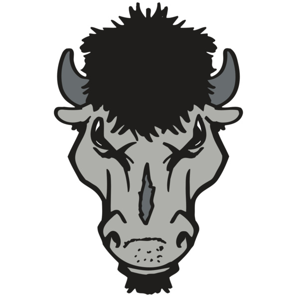 AR BUFFALO 15 RC Thumbnail