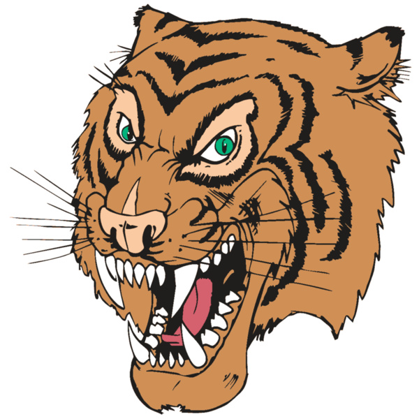 AR TIGER 49 RC Thumbnail